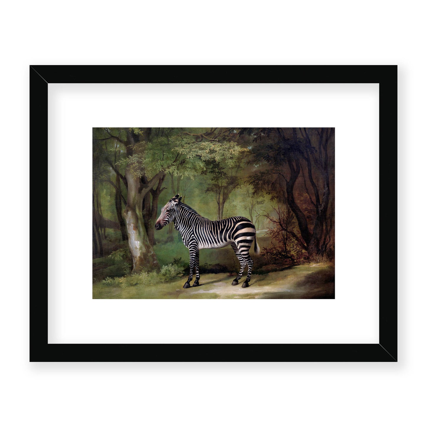 George Stubbs - Zebra