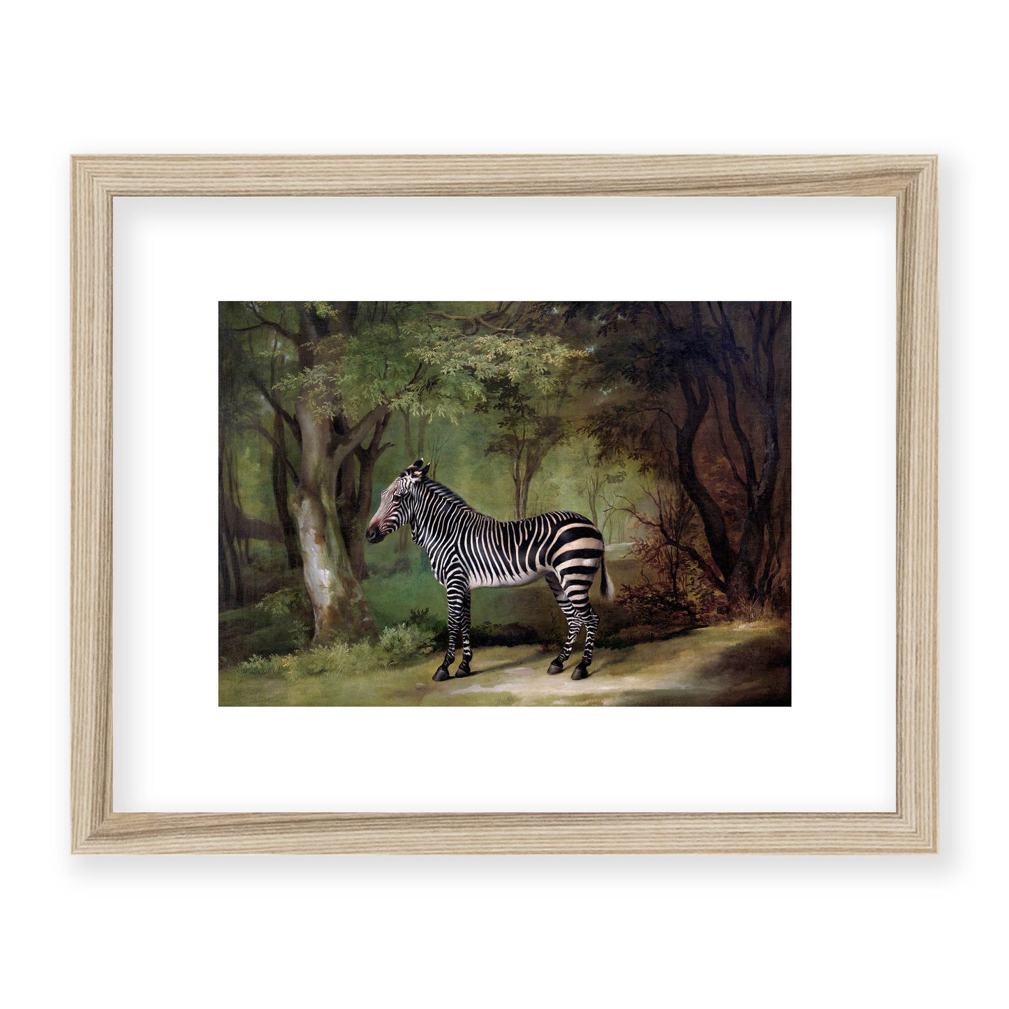 George Stubbs - Zebra