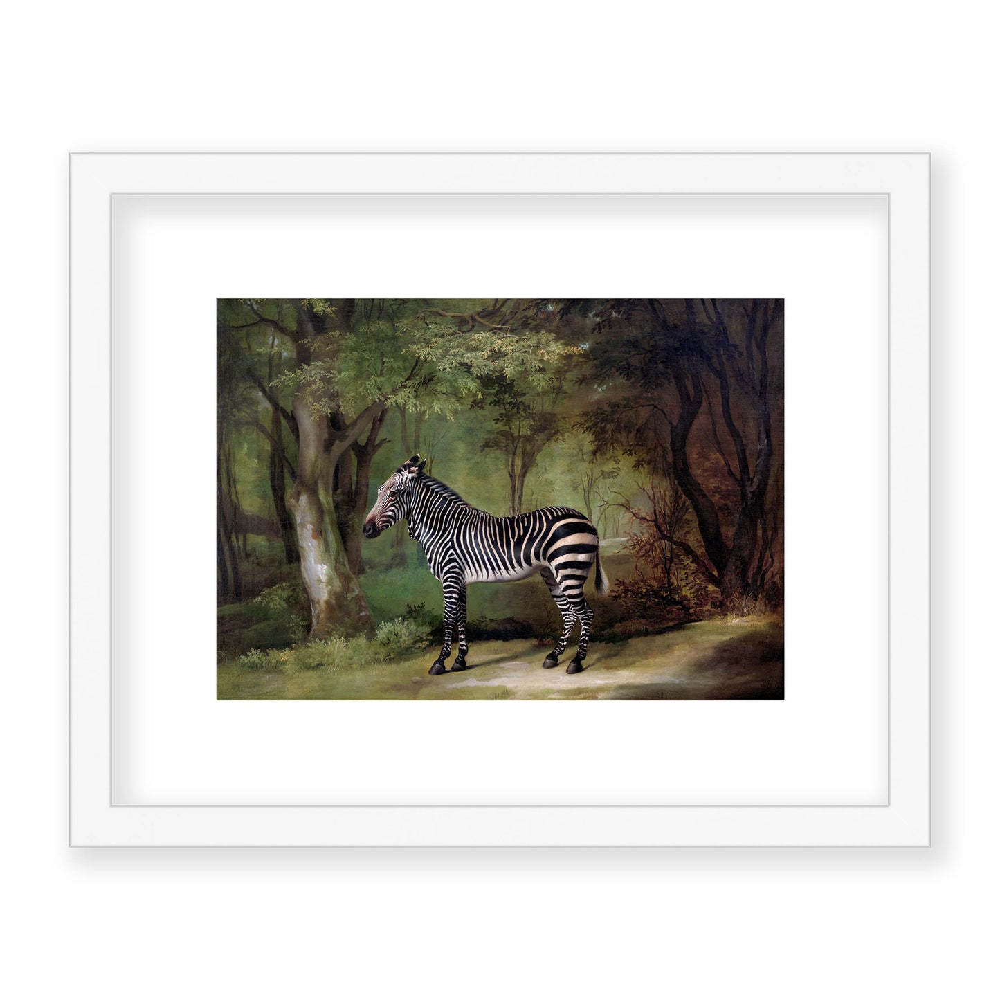 George Stubbs - Zebra