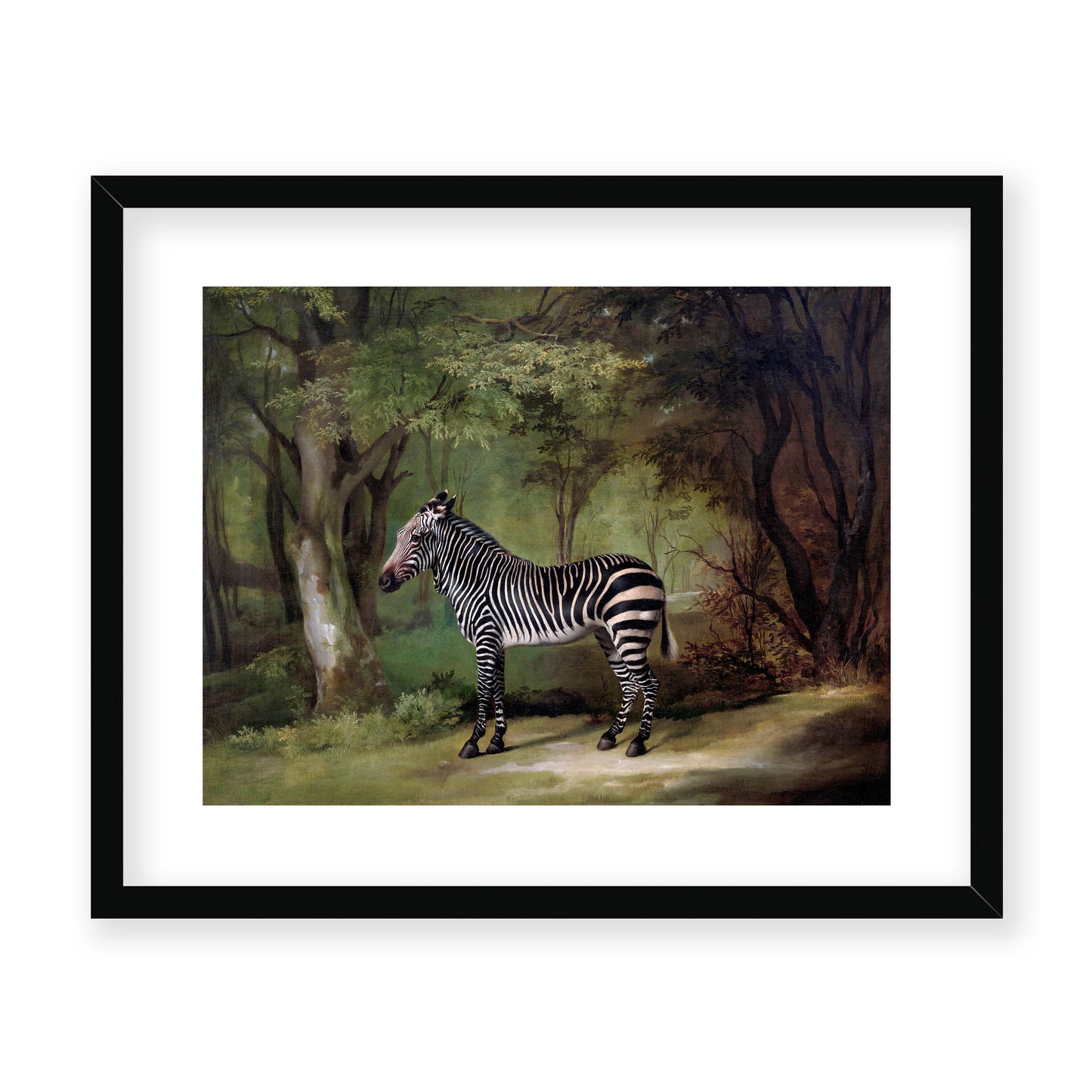 George Stubbs - Zebra