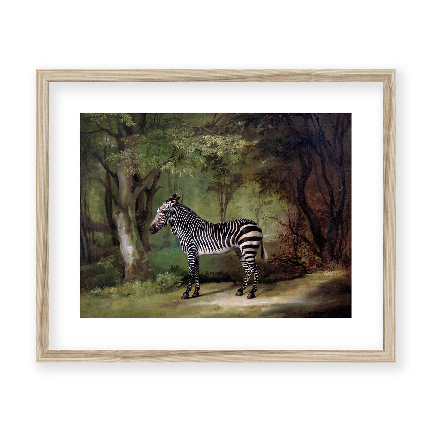 George Stubbs - Zebra