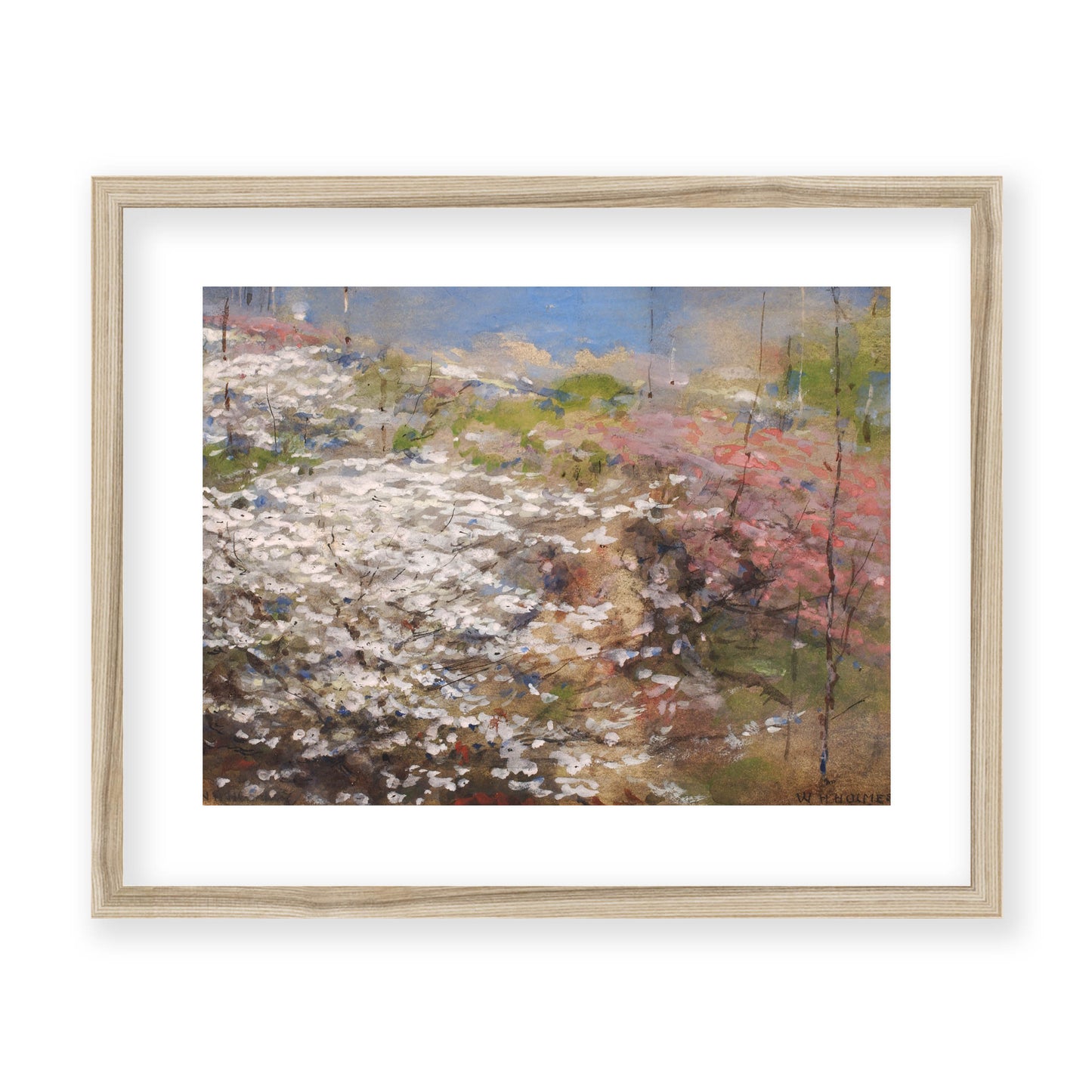 William Henry Holmes - Field of Blossoms