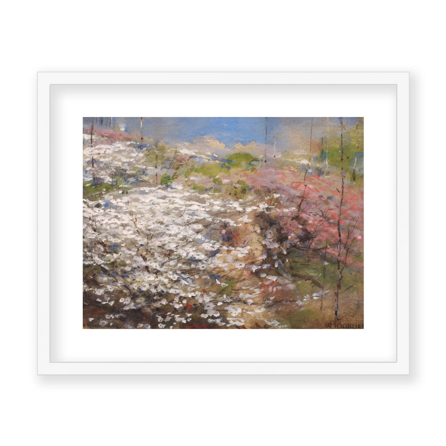 William Henry Holmes - Field of Blossoms