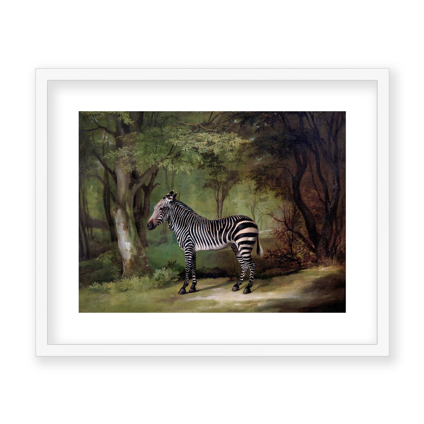 George Stubbs - Zebra