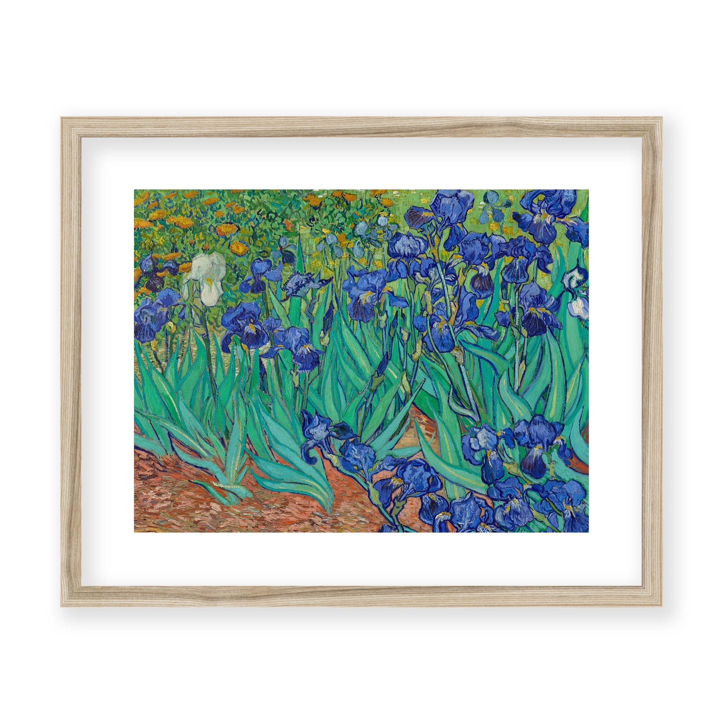 Vincent Van Gogh - Irises