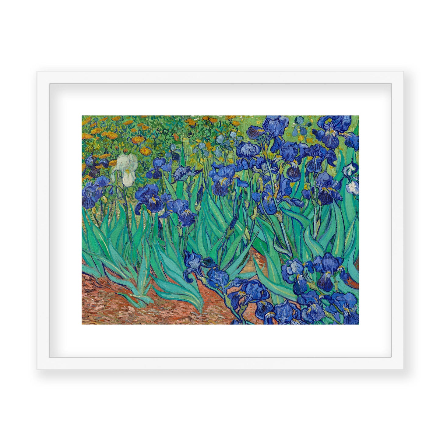 Vincent Van Gogh - Irises
