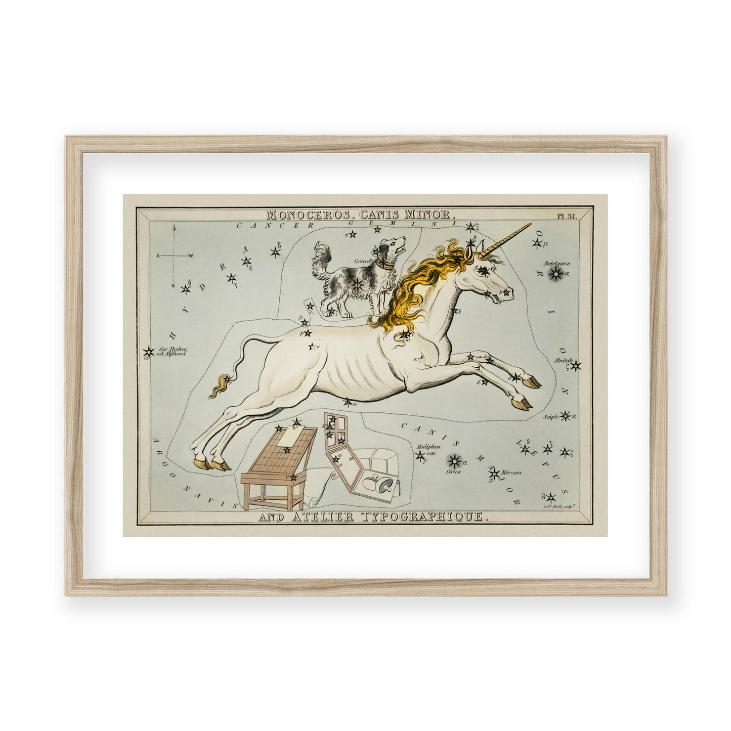 Sidney Hall - Astronomical Chart Illustration