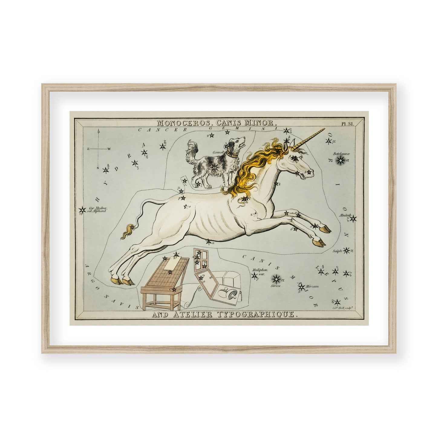 Sidney Hall - Astronomical Chart Illustration