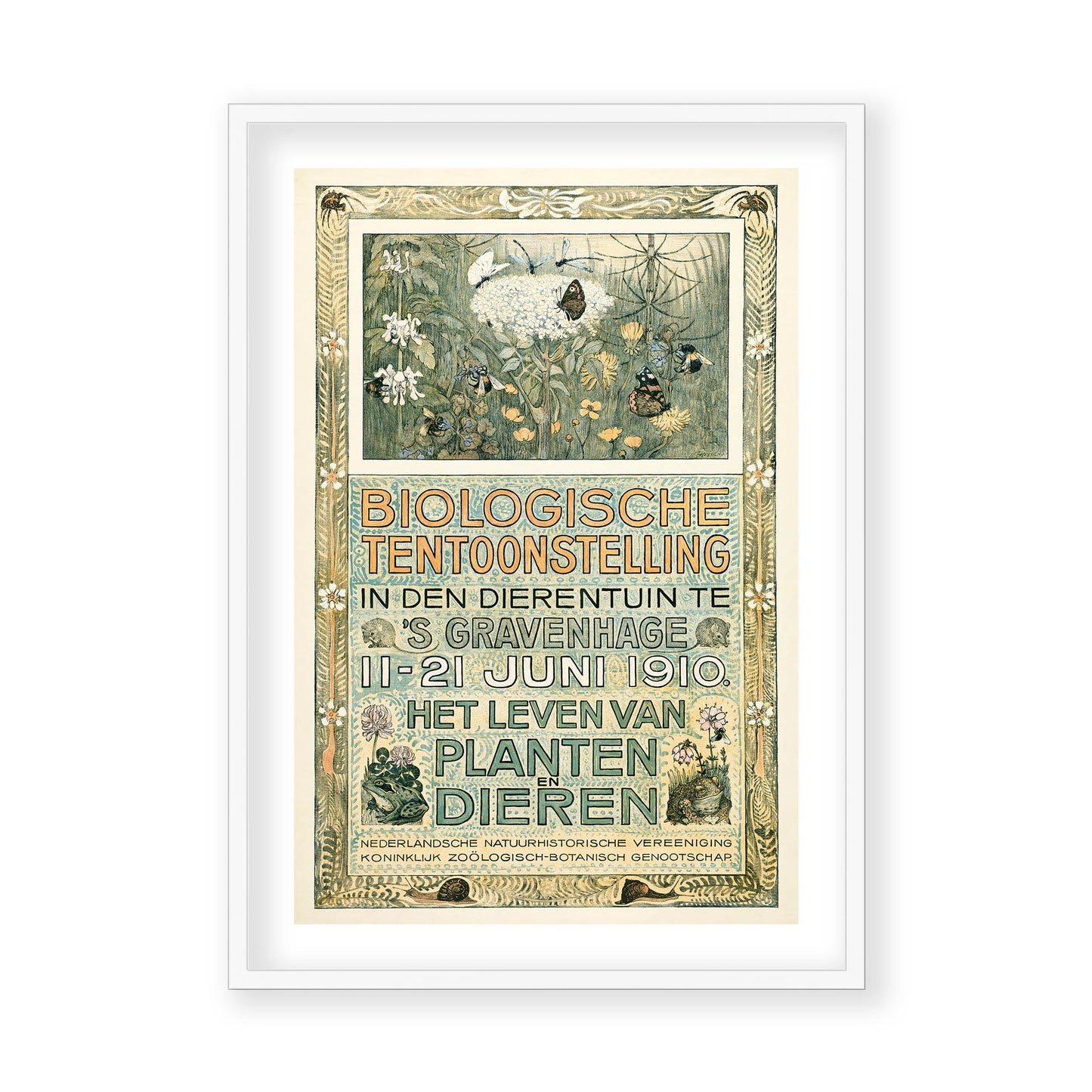 Theo van Hoytema - Poster of the Biological Exhibition
