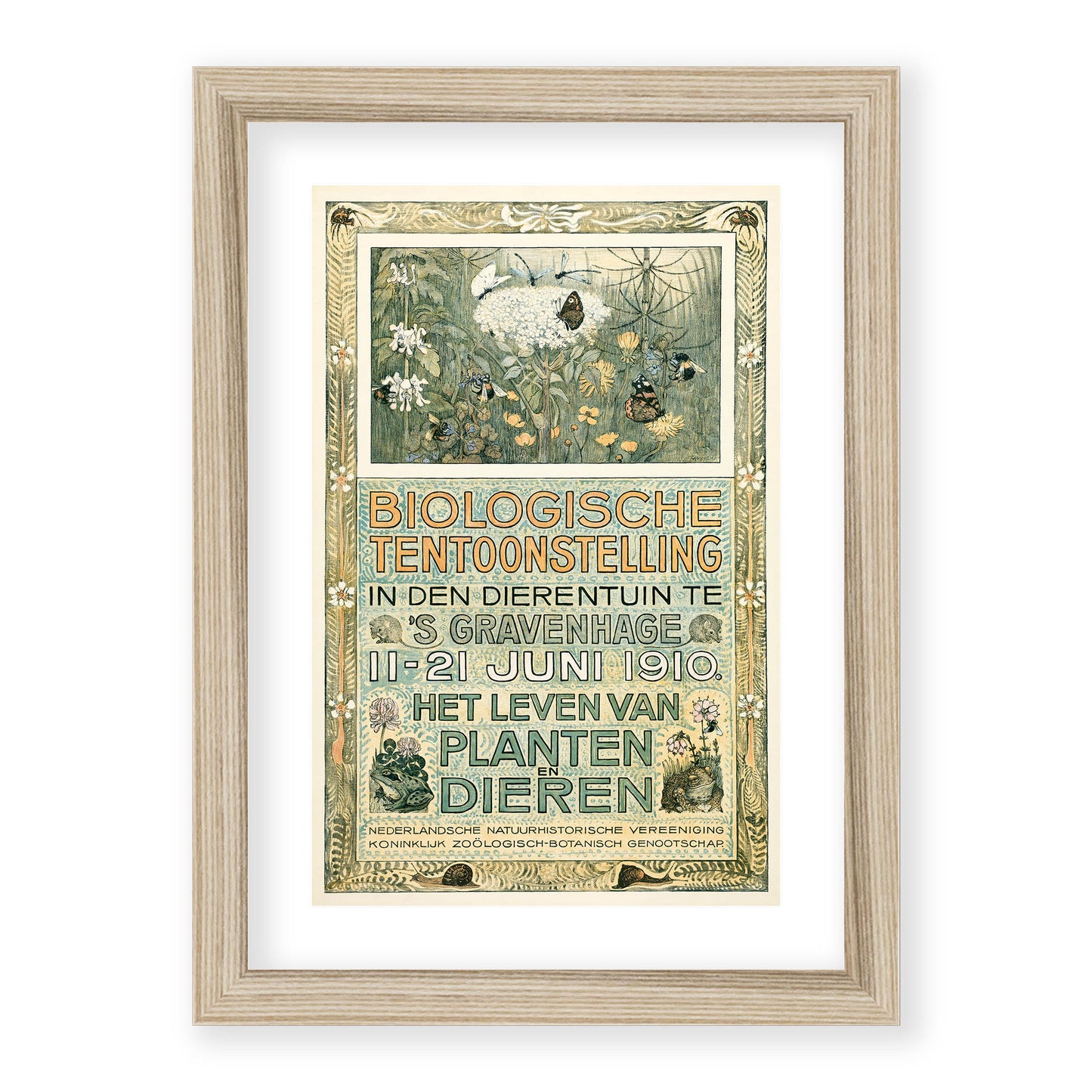 Theo van Hoytema - Poster of the Biological Exhibition