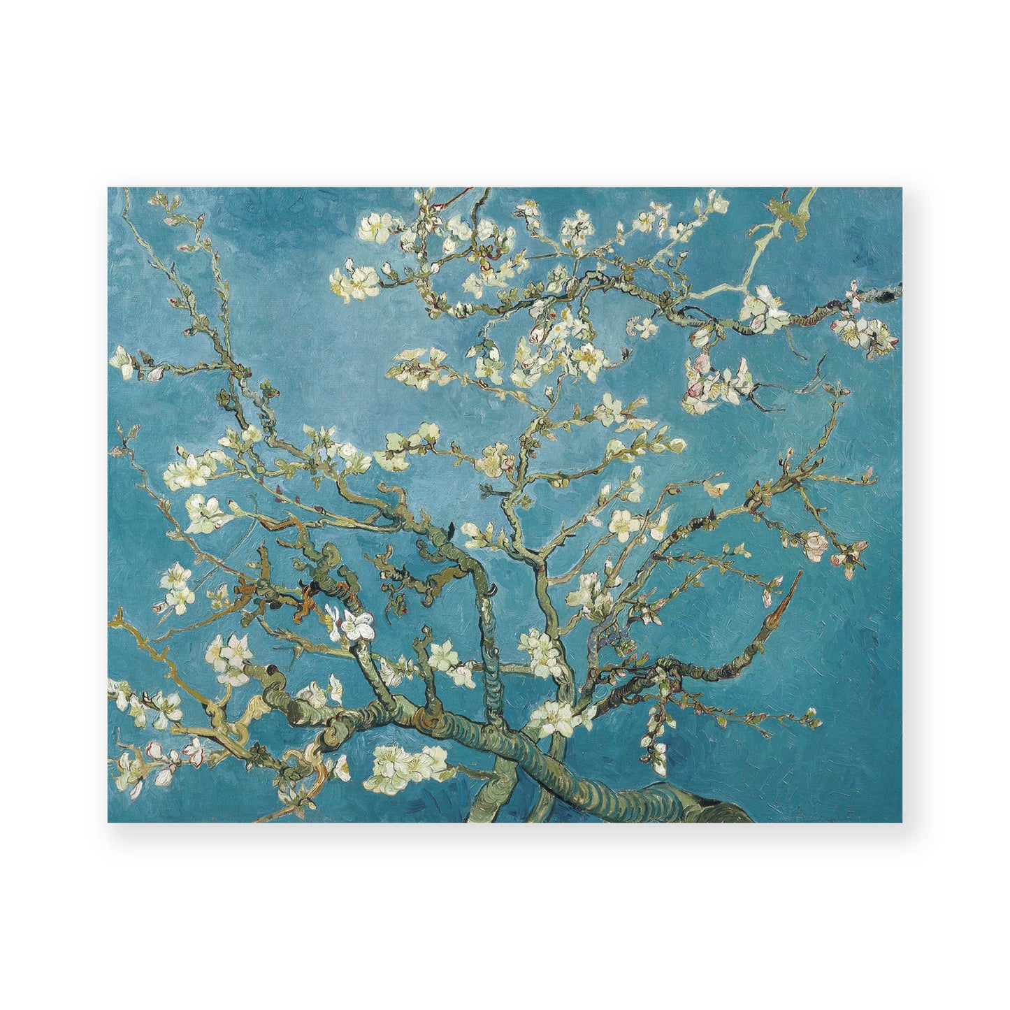 Vincent Van Gogh - Branches with Almond Blossom