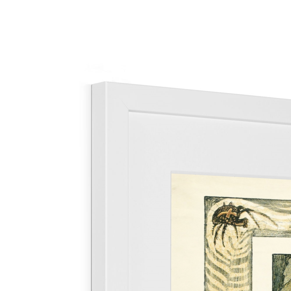 Theo van Hoytema - Poster of the Biological Exhibition