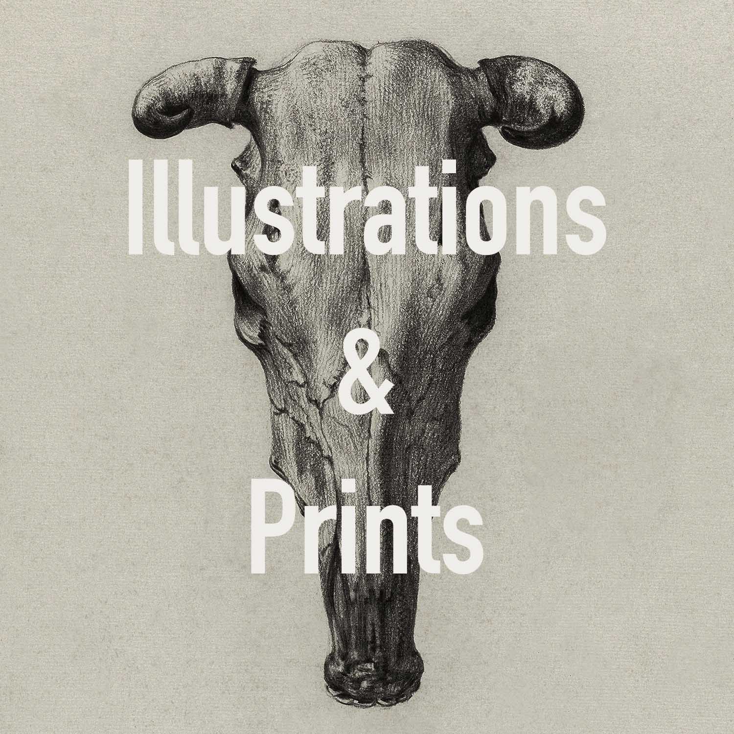 Illustrations & Prints