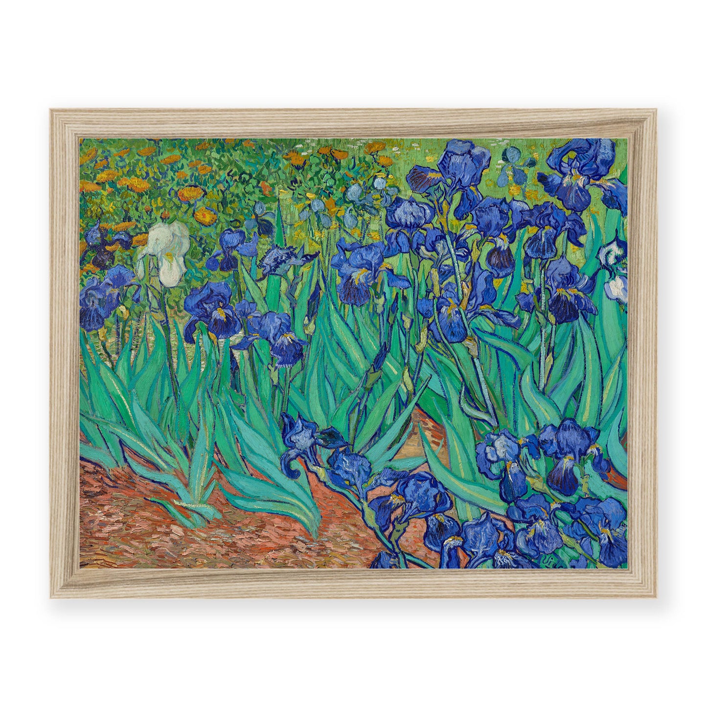 Vincent Van Gogh - Irises