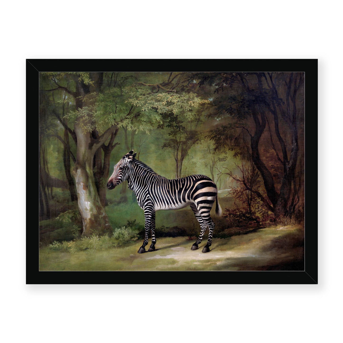 George Stubbs - Zebra