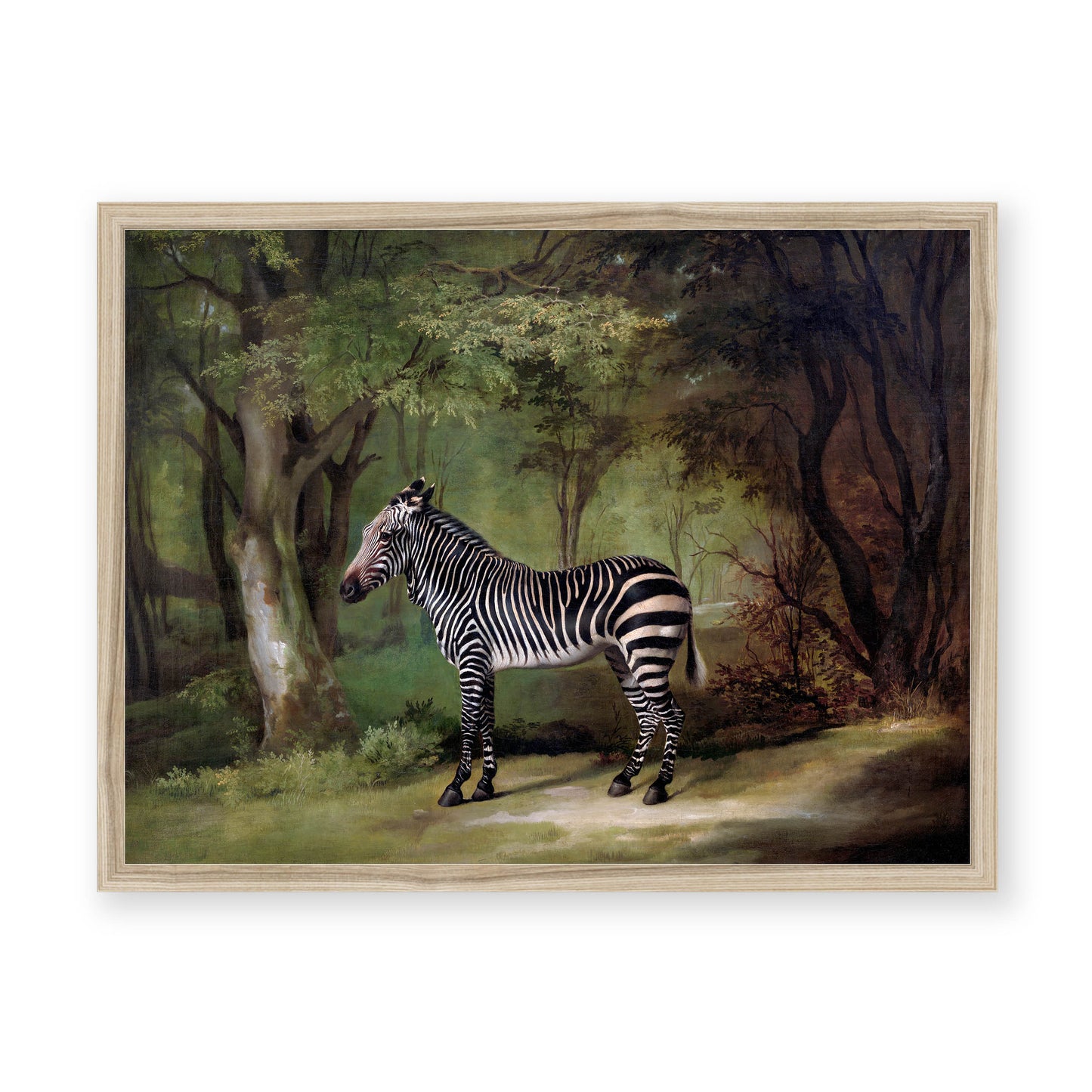 George Stubbs - Zebra