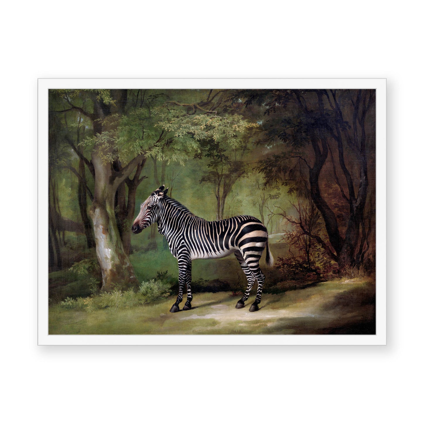 George Stubbs - Zebra