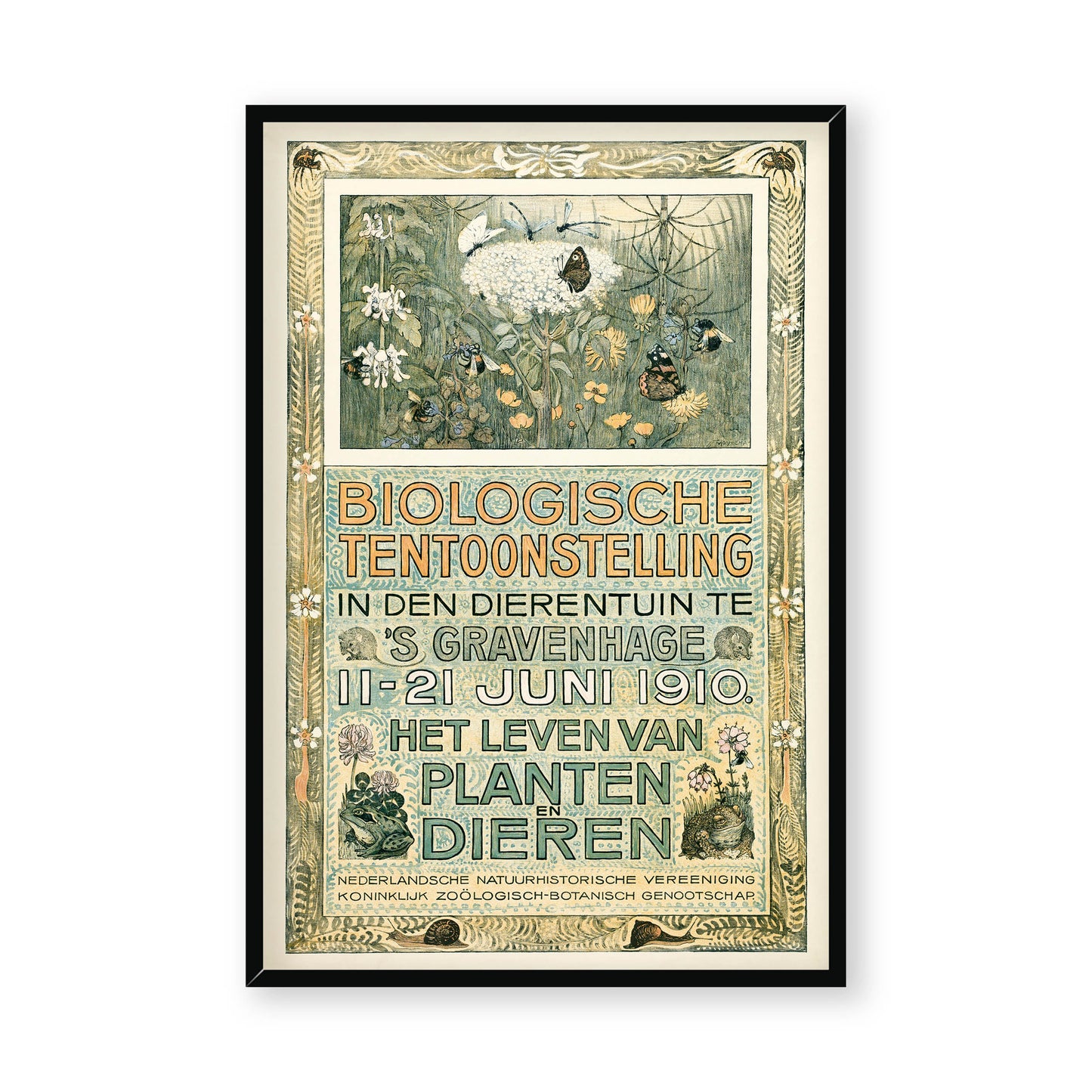 Theo van Hoytema - Poster of the Biological Exhibition