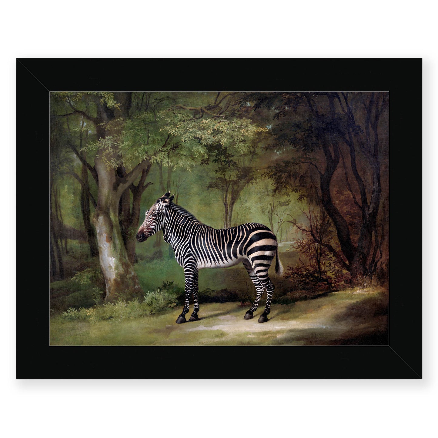 George Stubbs - Zebra