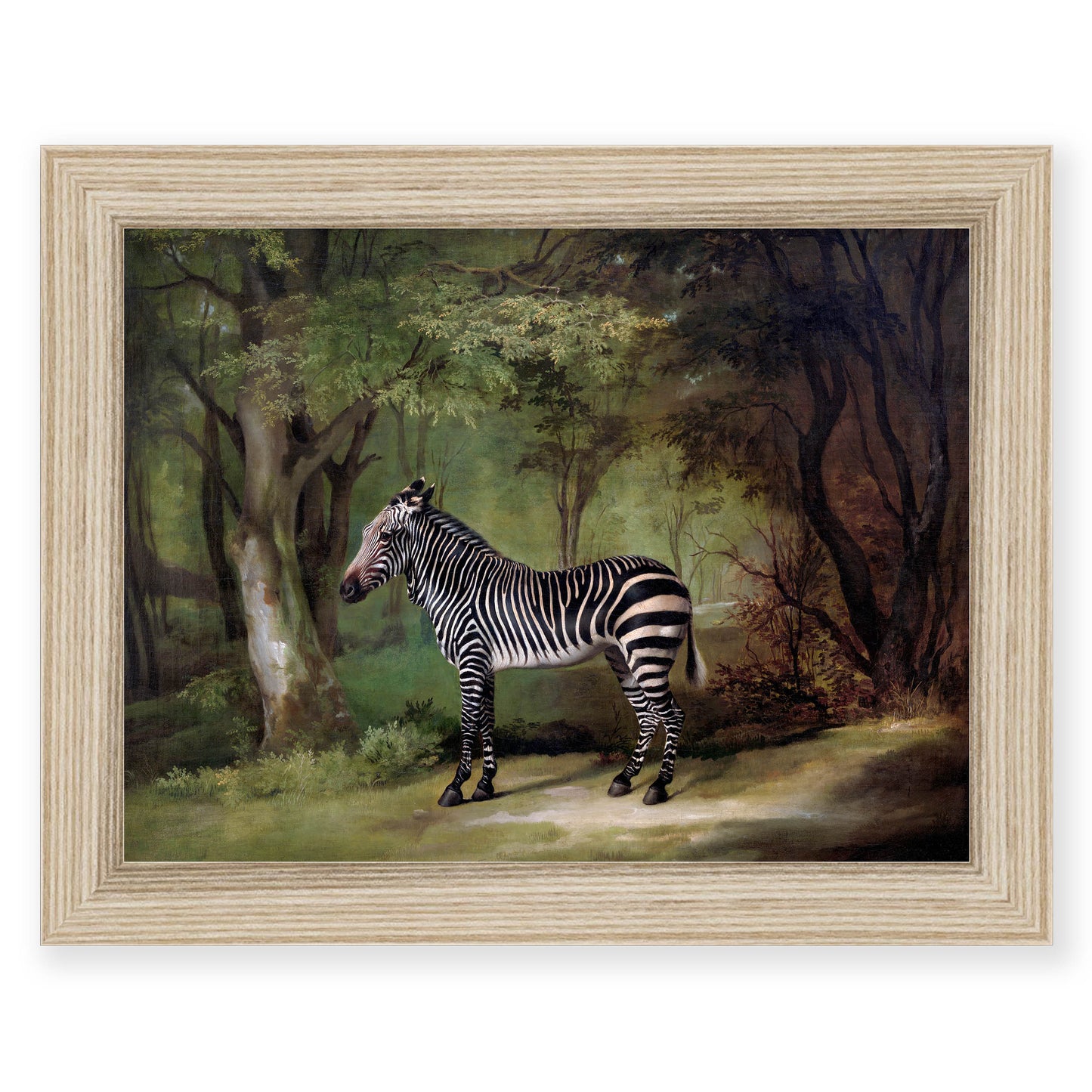 George Stubbs - Zebra