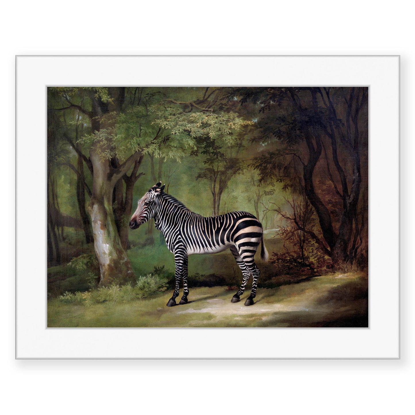 George Stubbs - Zebra