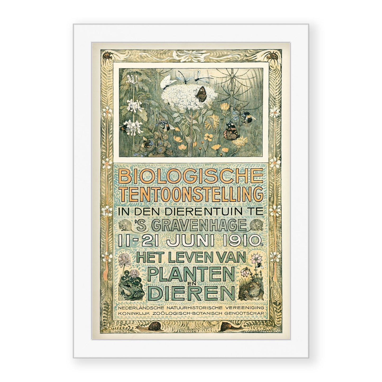 Theo van Hoytema - Poster of the Biological Exhibition