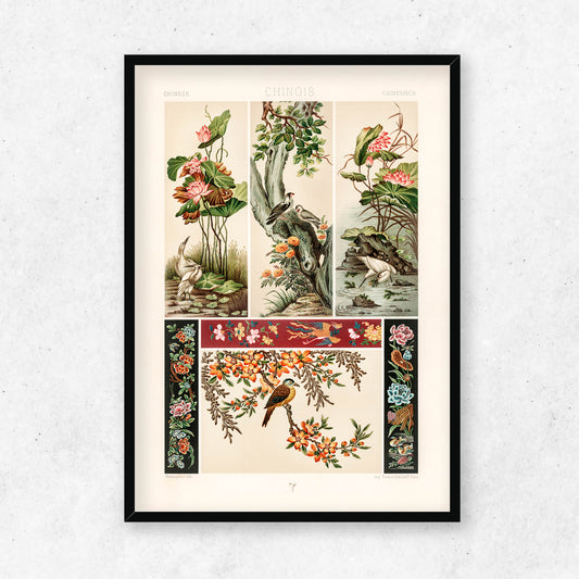 Albert Racinet - Chinese pattern from L'ornement Polychrome No.4