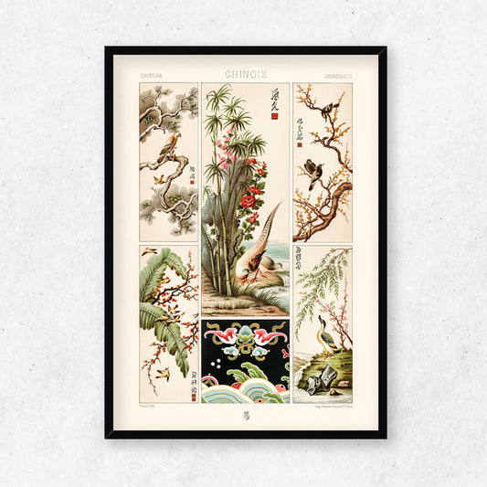 Albert Racinet - Chinese pattern from L'ornement Polychrome No.6