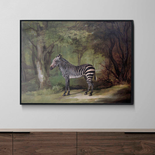 George Stubbs - Zebra