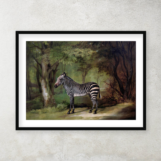 George Stubbs - Zebra