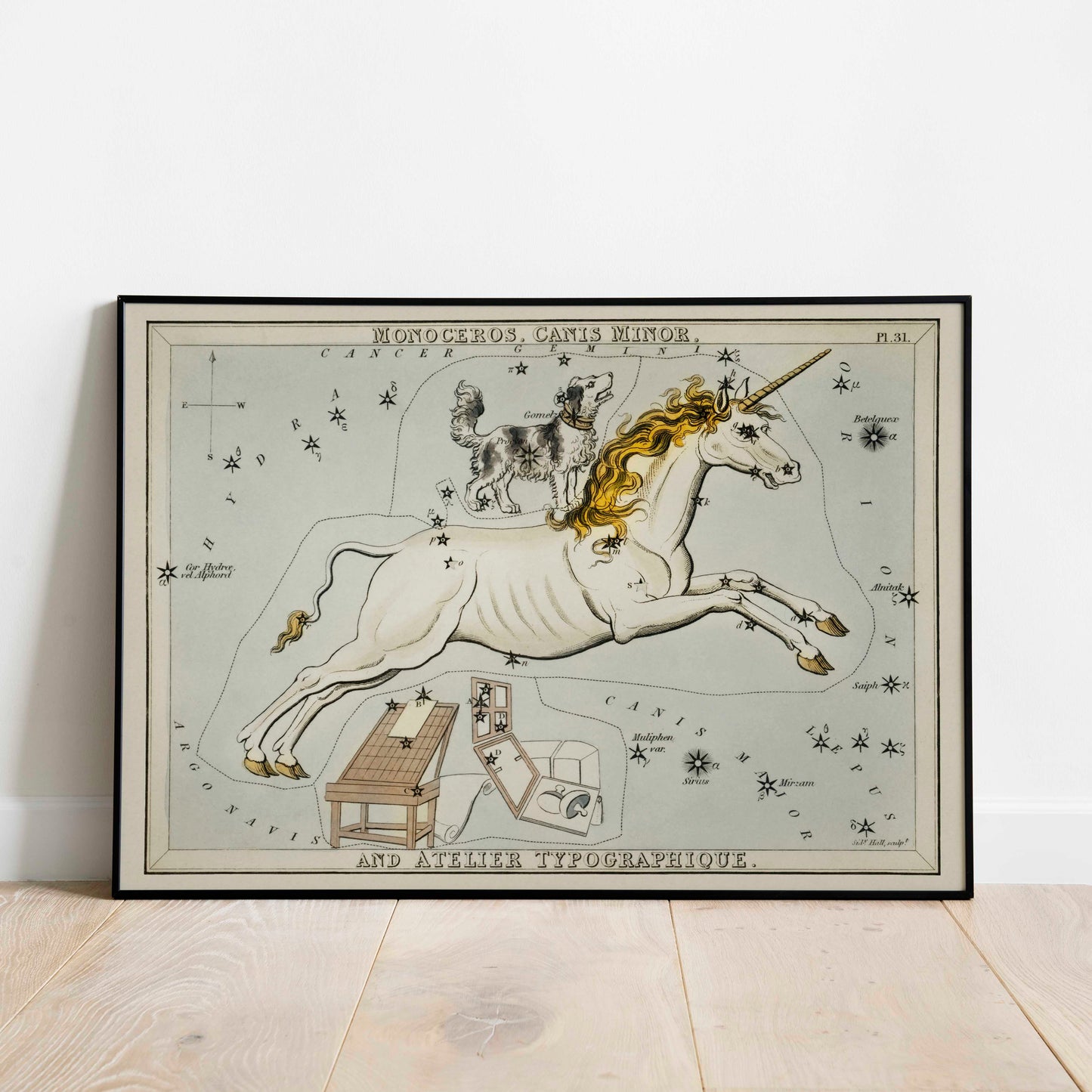 Sidney Hall - Astronomical Chart Illustration