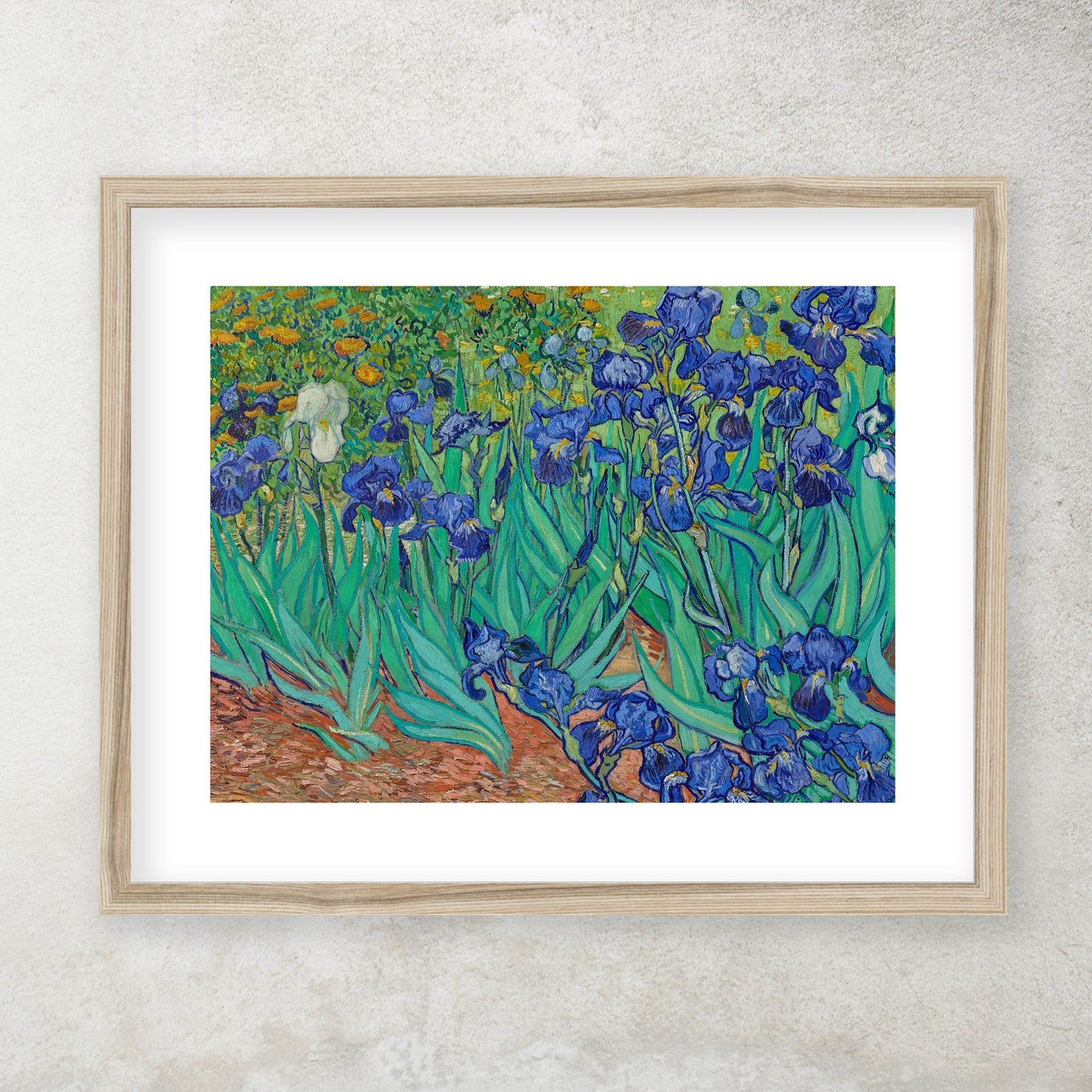 Vincent Van Gogh - Irises