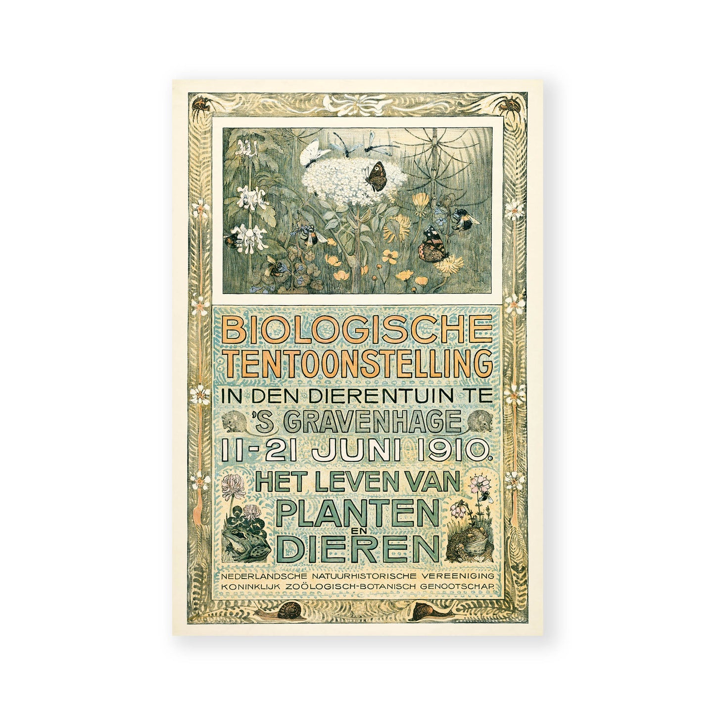 Theo van Hoytema - Poster of the Biological Exhibition