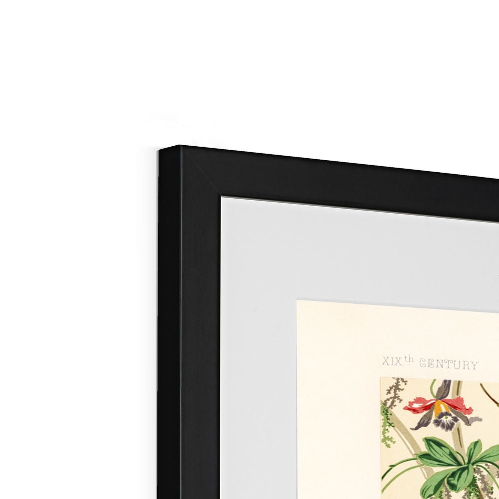 Albert Racinet - 19th Century pattern from L'ornement Polychrome - Black Framed and Mounted Print