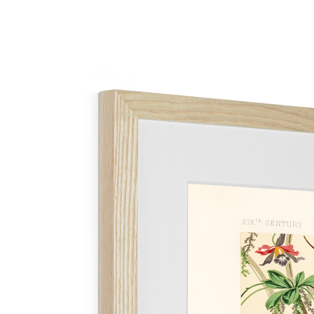 Albert Racinet - 19th Century pattern from L'ornement Polychrome - Natural Wood Framed and Mounted Print
