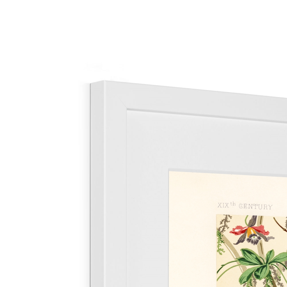 Albert Racinet - 19th Century pattern from L'ornement Polychrome - White Framed and Mounted Print